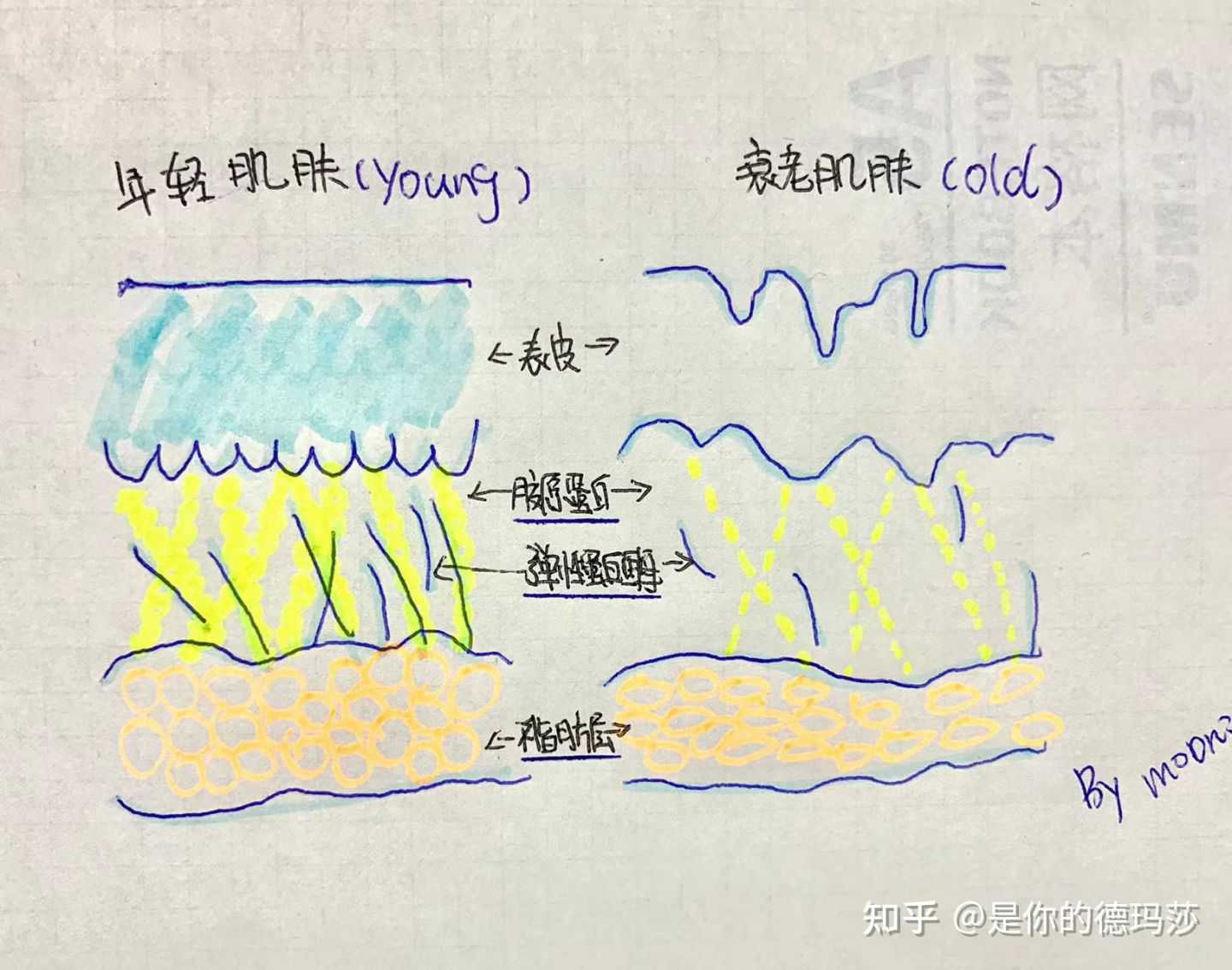 【Popular Science】 كيفية استخدام النسخة الكورية من مادة البولي يوريثين 7D والاحتياطات (SHURINK LIFTING LASER): -1