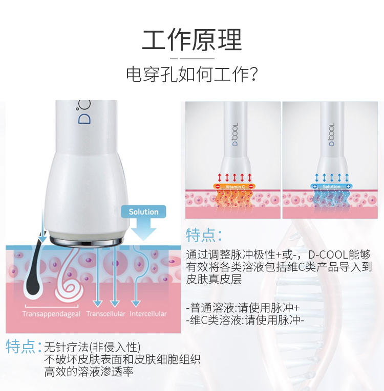 韓国Dcool温度計：-4